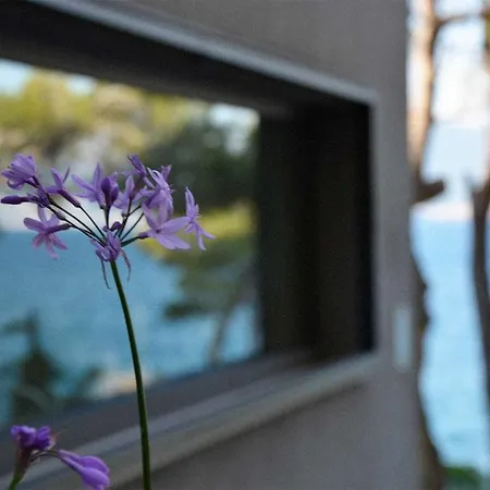 Inside/outside * Slatine